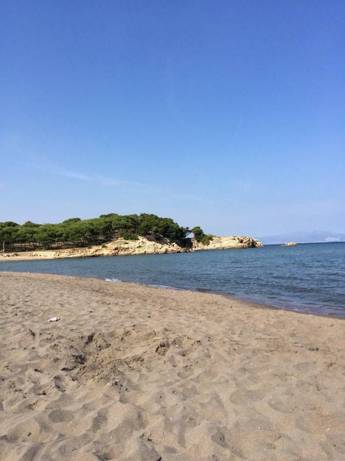 2 Bedroom Apartment In The Old Town, Close To The Beach L' Escala Zewnętrze zdjęcie